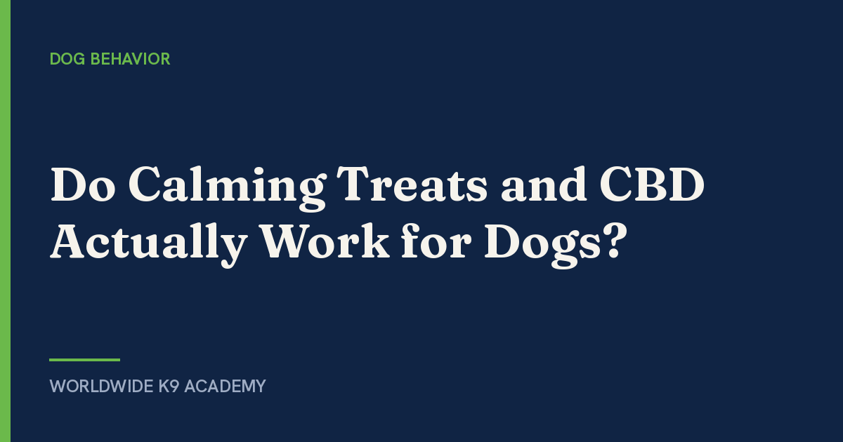 Do Calming Treats and CBD Actually Work for Dogs? - Worldwide K9 Academy
