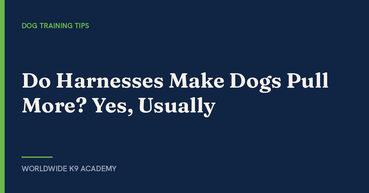 Do Harnesses Make Dogs Pull More? Yes, Usually - Worldwide K9 Academy
