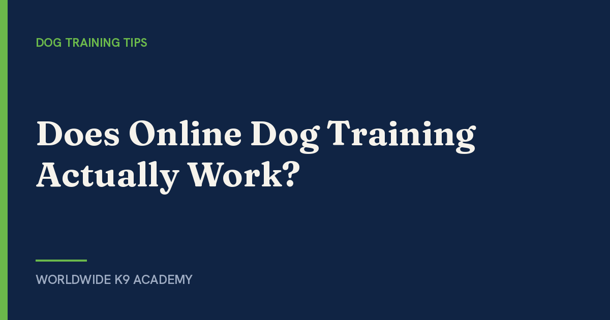 Does Online Dog Training Actually Work? - Worldwide K9 Academy