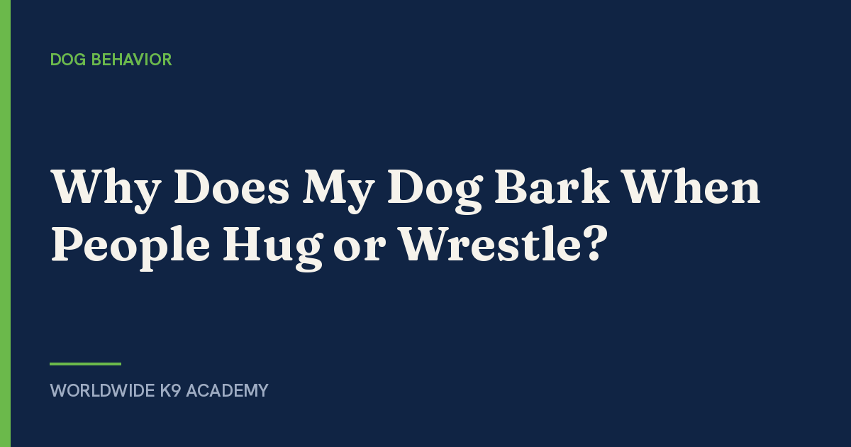 Why Does My Dog Bark When People Hug or Wrestle? - Worldwide K9 Academy