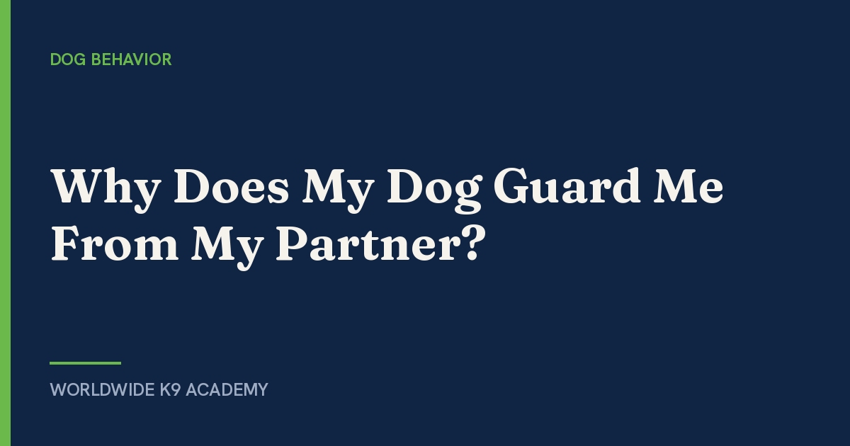 Why Does My Dog Guard Me From My Partner? - Worldwide K9 Academy