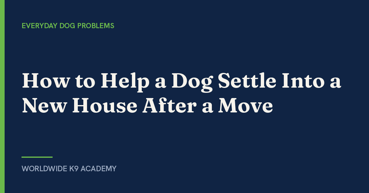 How to Help a Dog Settle Into a New House After a Move - Worldwide K9 Academy