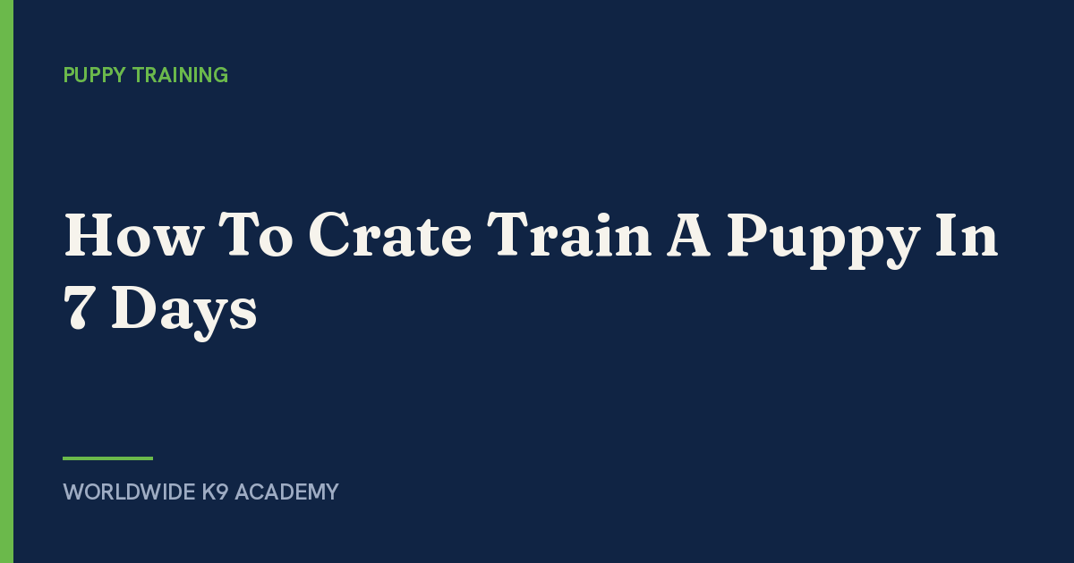 How To Crate Train A Puppy In 7 Days - Worldwide K9 Academy