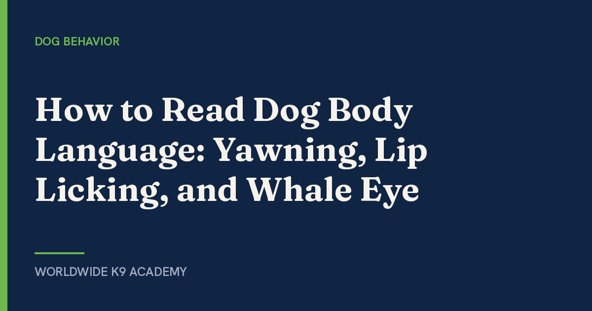 How to Read Dog Body Language: Yawning, Lip Licking, and Whale Eye - Worldwide K9 Academy