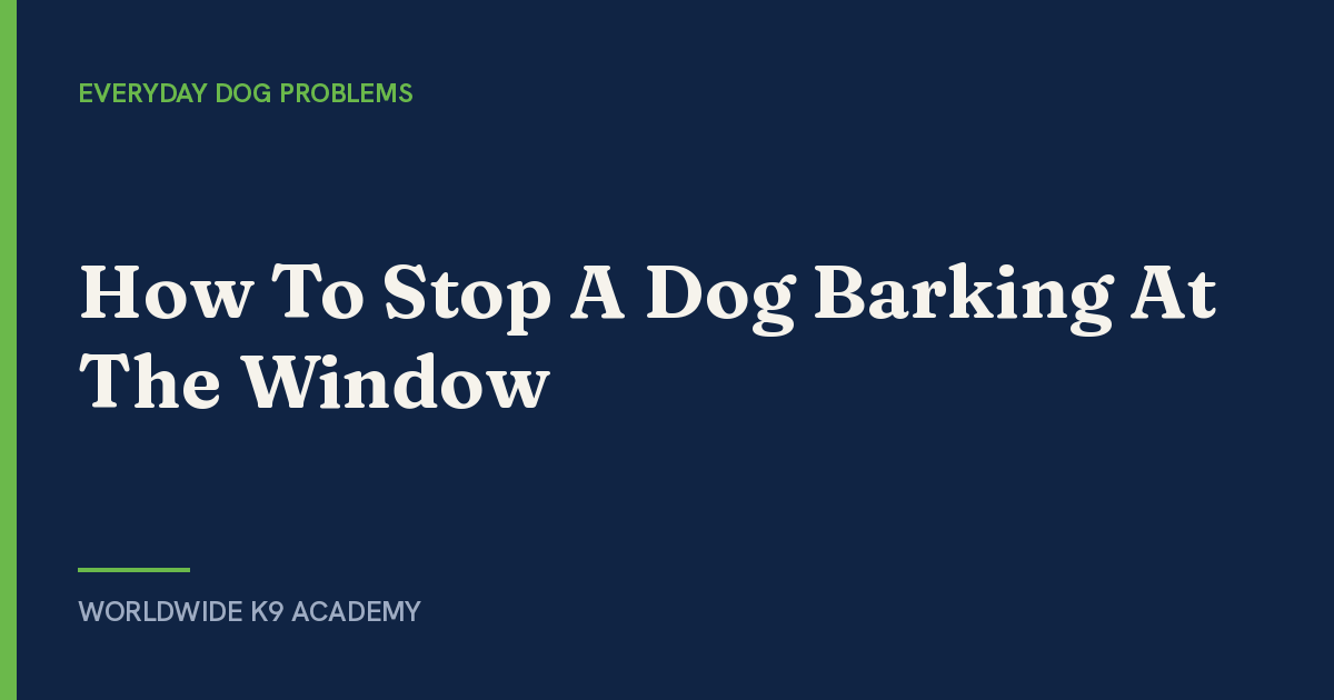 How To Stop A Dog Barking At The Window - Worldwide K9 Academy