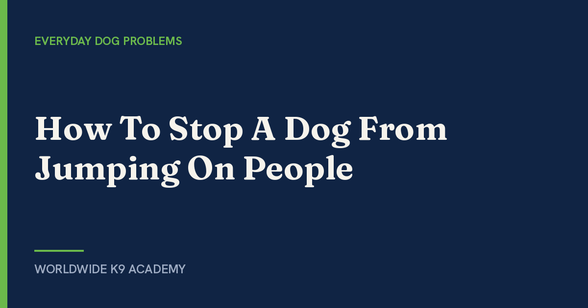 How To Stop A Dog From Jumping On People - Worldwide K9 Academy
