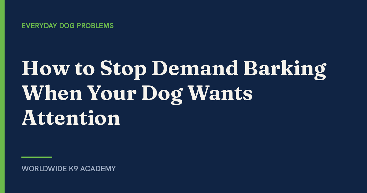 How to Stop Demand Barking When Your Dog Wants Attention - Worldwide K9 Academy