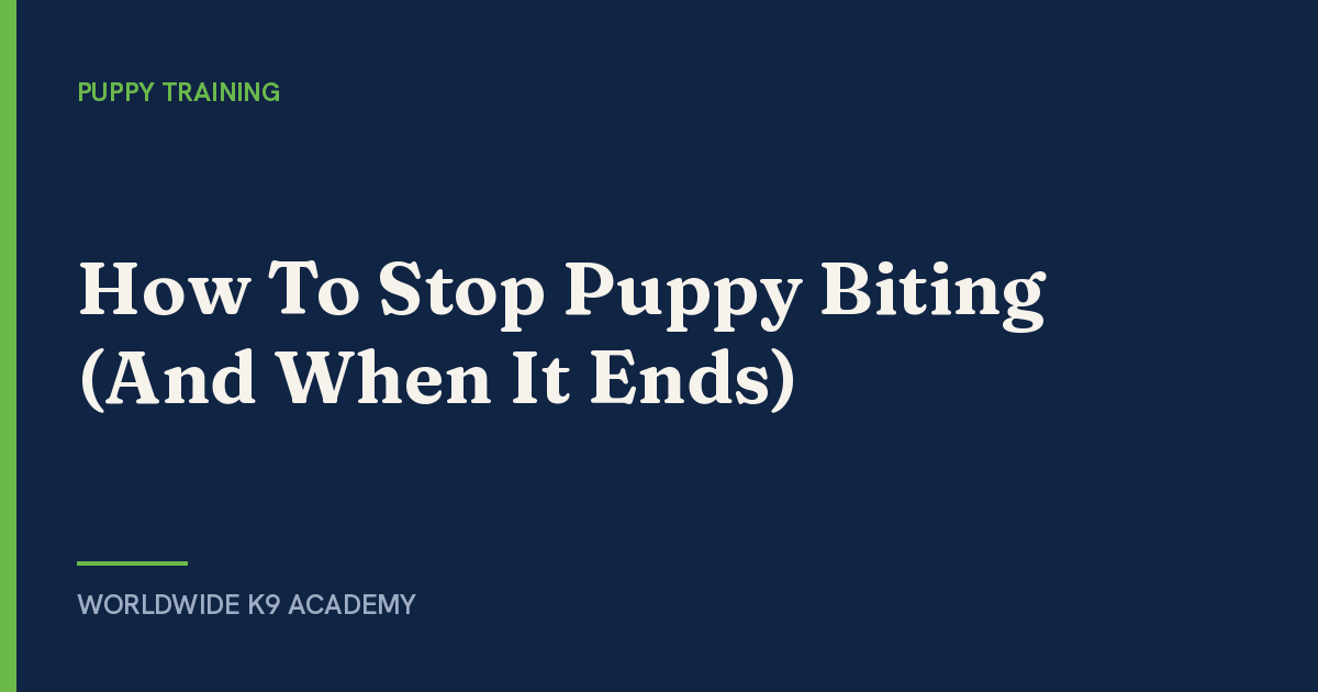 How To Stop Puppy Biting (And When It Ends) - Worldwide K9 Academy