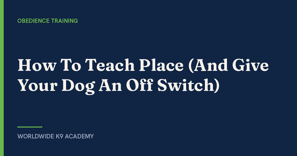 How To Teach Place (And Give Your Dog An Off Switch) - Worldwide K9 Academy