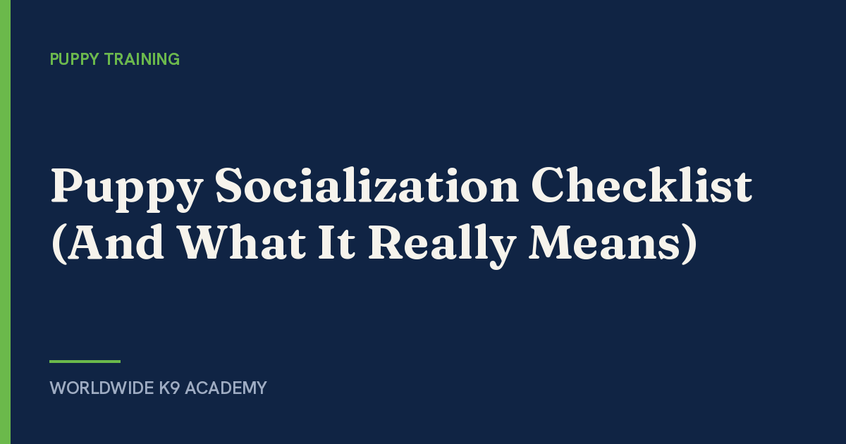 Puppy Socialization Checklist (And What It Really Means) - Worldwide K9 Academy