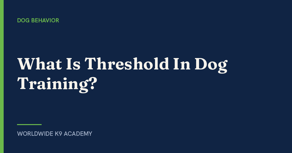What Is Threshold In Dog Training? - Worldwide K9 Academy