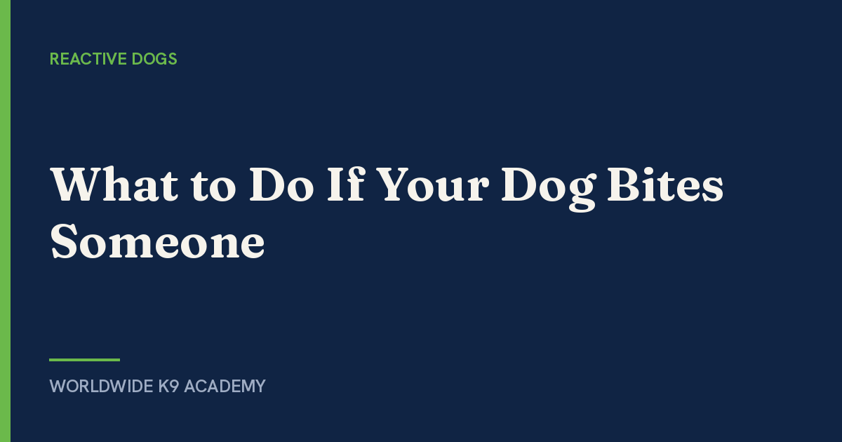 What to Do If Your Dog Bites Someone - Worldwide K9 Academy