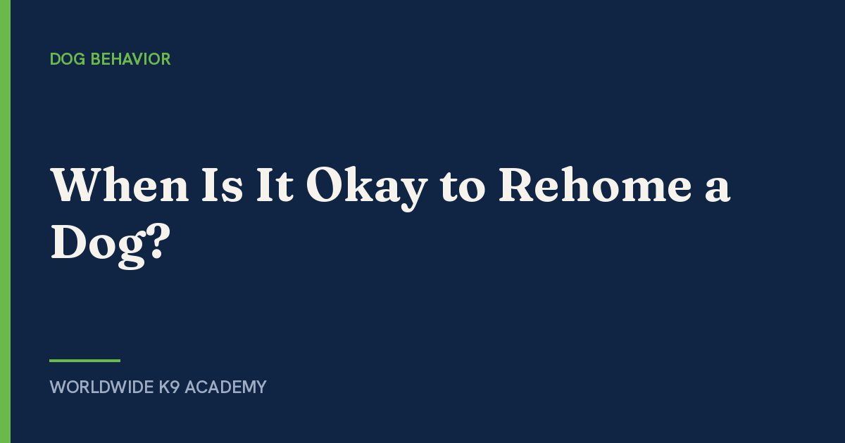 When Is It Okay to Rehome a Dog? - Worldwide K9 Academy