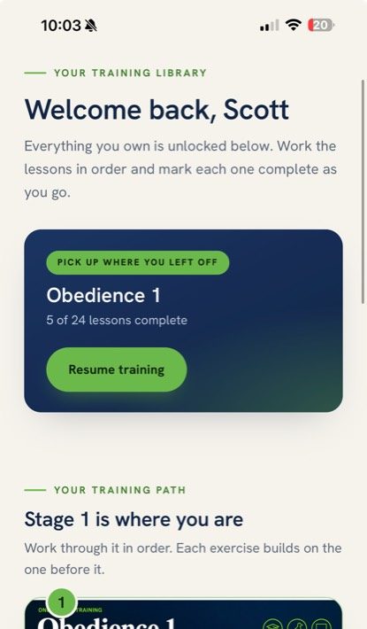 A lesson page inside the academy