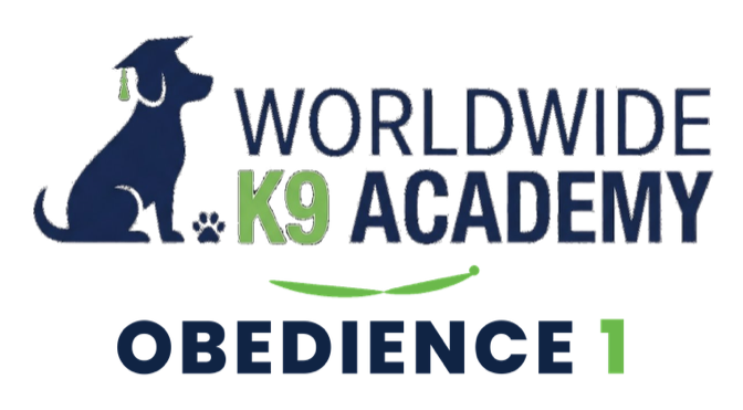 Obedience 1 course logo